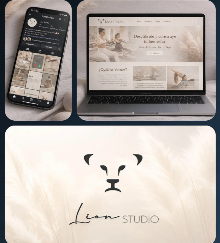 Aplicaciones de identidad visual creadas para Lion Studio